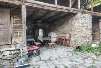 Casă cu 3 camere în Urseiu - 4