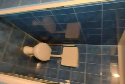 Spațiu comercial, de 540 mp, în Central - 10