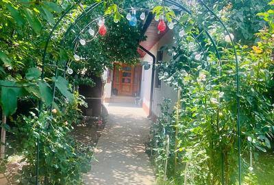 Casă cu Teren 400 Mp în Bălăceanca - 4