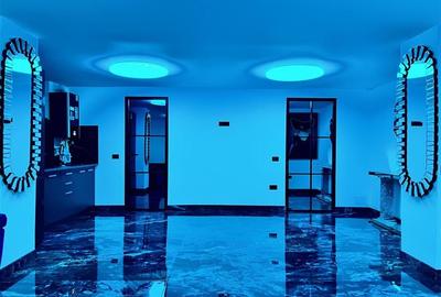 Spatiu Comercial Ultra Finisat zona Judetean - 9