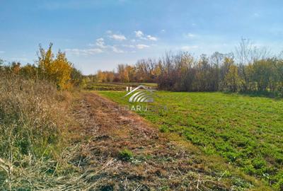 Teren si constructie demolabila, Ghioldum, Cocorastii Colt - 6