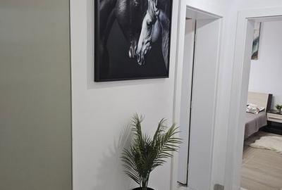 Apartament cu 2 camere decomandat în Lunei - 2