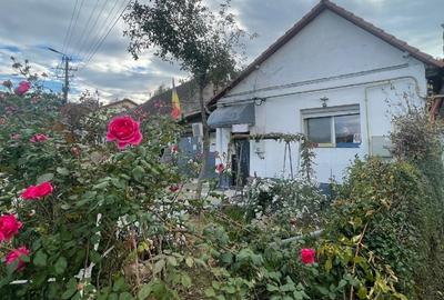 Casă individuală cu 4 camere cu Teren 343 Mp în Central - 6