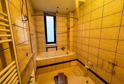 Apartament cu 2 camere, curte 100 mp, garaj si boxa, Zona Bulevardul Independent - 9