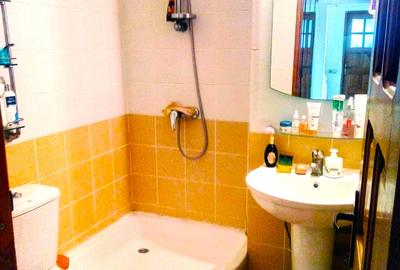 Apartament cu 3 camere decomandat, mobilat în Pescărie - 9
