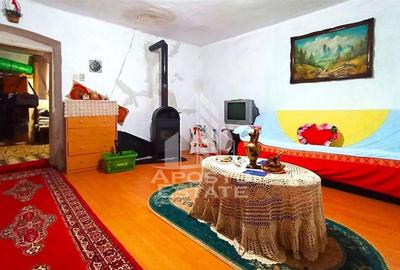 Casă cu 4 camere cu Teren 996 Mp în Dudeștii Noi - 5