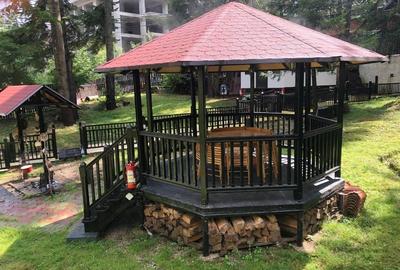 Apartament in vila cu arhitectura neoromaneasca + 917mp teren in curte amenajata - 13