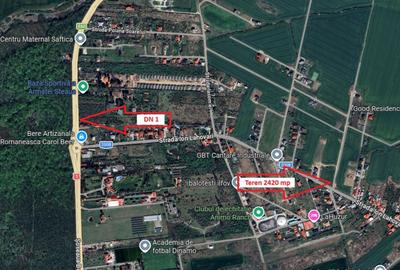 Teren Construcții intravilan de 2420 mp, în Săftica - 1