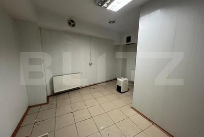Imobil de inchiriat, 329 mp, Centru Vechi - 12 camere - 19