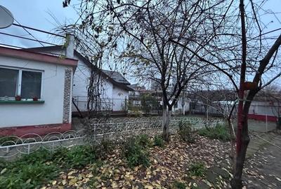 Casa plan parter, 63 mp utili, 366 mp utili, Bariera Valcii - 9