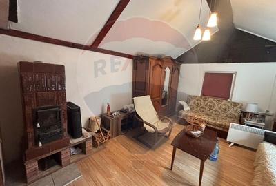 Cabana Marisel aproape de partia de ski- COMISION 0% - 8