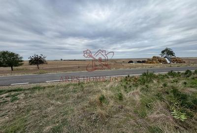 Teren 910 mp cu casa veche – Seceani - 30 km de Timișoara - 6