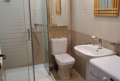 Apartament cu 3 camere semidecomandat, mobilat în Central - 8