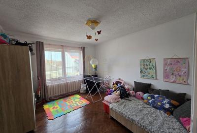 Satu Mare, Zona Titulescu, Oportunitate pentru familie mare sau firme. - 17