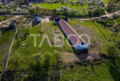 Casă cu 3 camere cu Teren 5039 Mp în Pianu - 12