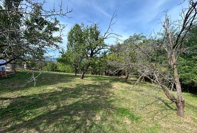 Teren intravilan Breaza - 7