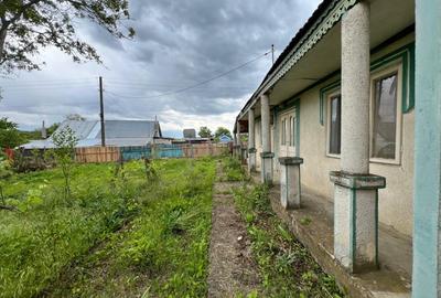 Casa + teren 4430 mp, vie si pomi fructiferi, 22 km de Tecuci - 6