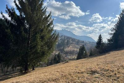 Spațiu comercial, în Ceahlău