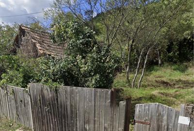 De vanzare Casa cu teren in comuna Blandiana, jude?ul Alba - 4