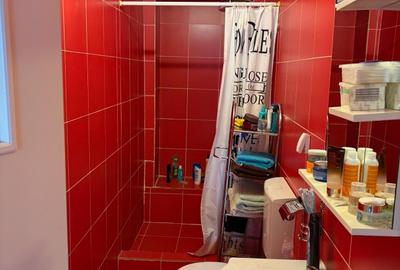 VAND CASA ZONA CENTRALA STR. CONSTANTIN NOICA - 6