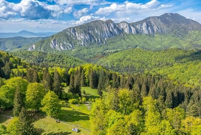Teren intravilan cu potential turistic si de agrement, zona Trei Brazi - 1