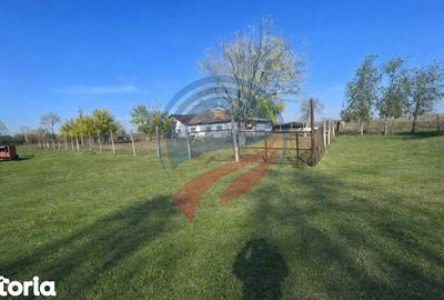 Casă cu 2 camere cu Teren 14500 Mp în Măceșu de Jos - 4