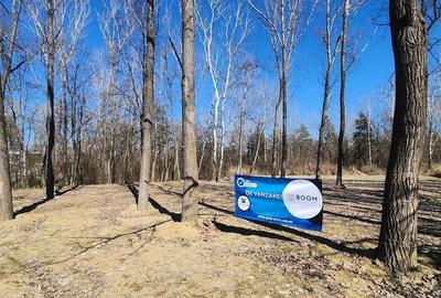 Teren 1667 MP | Zona Strand | Bulevard Dem Radulescu - 8