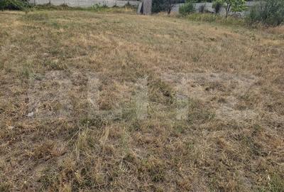 Teren Construcții intravilan de 762 mp, în Sud-Est - 2