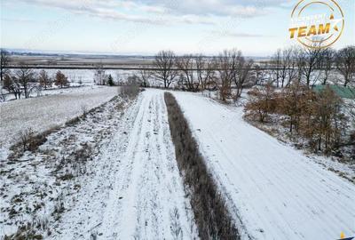 Casă cu Teren 4831 Mp în Țufalău - 12