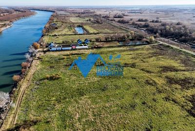 Teren intravilan VULTURU, 5.432 MP, front la Dunare 36 ML - 6