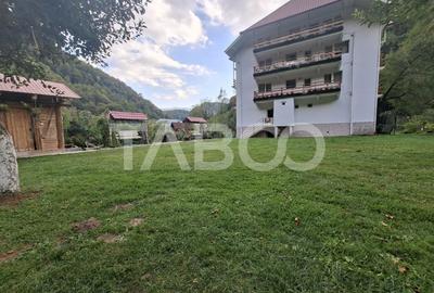 Spatiu de vanzare in Valea Macesului judel Valcea iesire la Lotru - 30