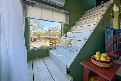 De vanzare ferma Calarasi in stare de conservare - sere - livada - 29