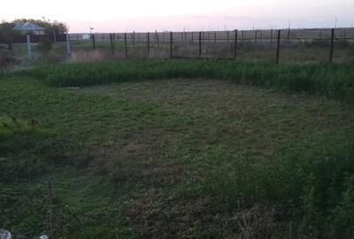 Casă cu 6 camere în Stăncuța - 6