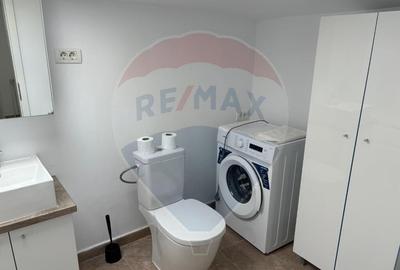 Apartament 2 camere cu terasa Gara de nord - 12