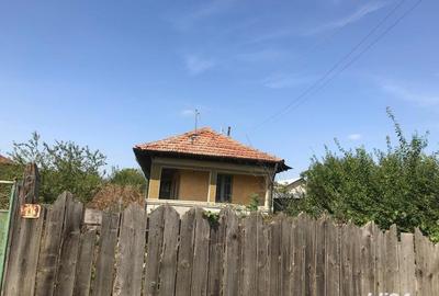 Casă cu 3 camere în Moara Domnească - 1