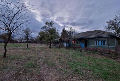 Inchiriez casa sat Gurbanesti, judet Calarasi Pret 1000 Ron lunar - 5