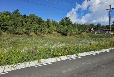 Teren în Sălătrucel - 3