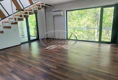 Birou, de 256 mp, în Semicentral - 6