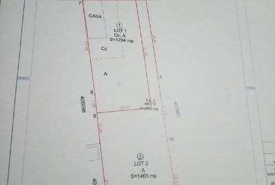 Teren intravilan in Becicherecu Mic - 1