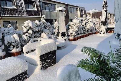 Apartament 3 camere Drumul Binelui - 2