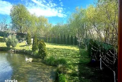 Teren de 6000 mp, în Ilișești - 4