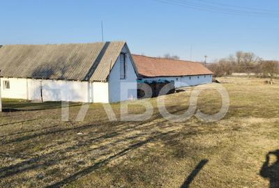 Microferma cu locuinta de vanzare in Pianu de sus - 3