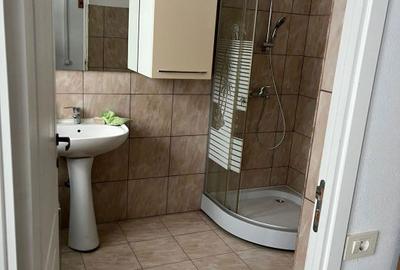 Spațiu comercial, de 460 mp, în Galicea Mare - 9