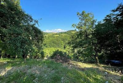 Teren de 9409 mp, în Roșia - 10