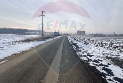 Teren Construcții de 6210 mp, în Ciolpani - 3