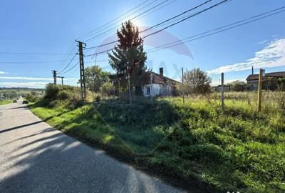 Teren de 8621 mp, în Periferie - 1