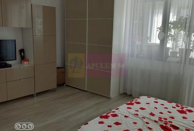 Vanzare apartament 2 camere Fundeni-Dobroesti - 2