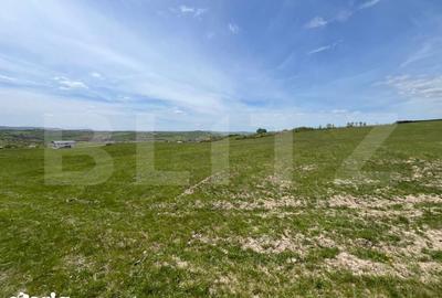 Teren de 5800 mp, în Dumitra - 1