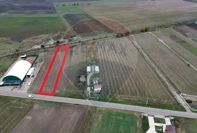 Teren Construcții intravilan de 1800 mp, în Mirceștii Vechi - 1