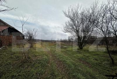 Teren intravilan, 4000 mp, zona Calnic - 4